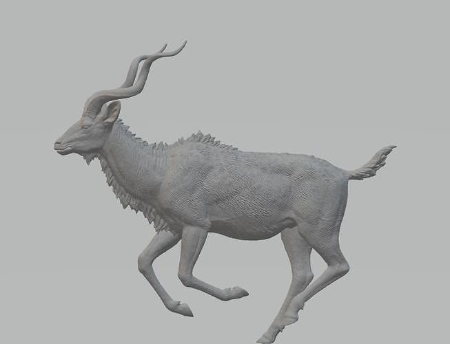 Kudu antelope 3D model 3D print model
