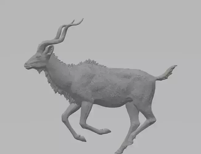 Kudu antelope 3D model