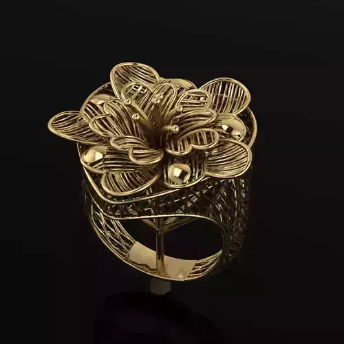  ring gold Jewelery