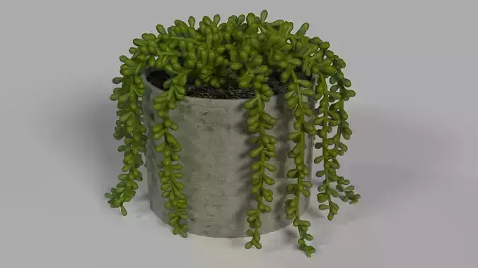Faux Potted Burros Tail 6 inch 3D model