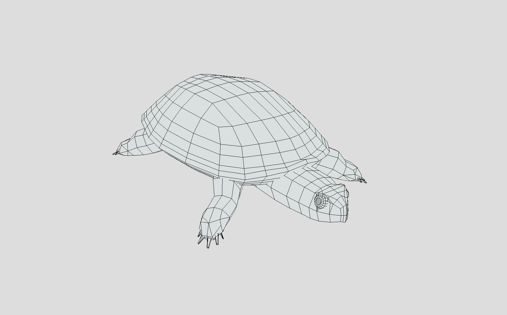 Swamp Turtle Low-poly 3D model_11