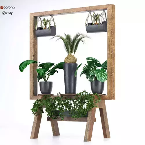Wooden stand of plants collection