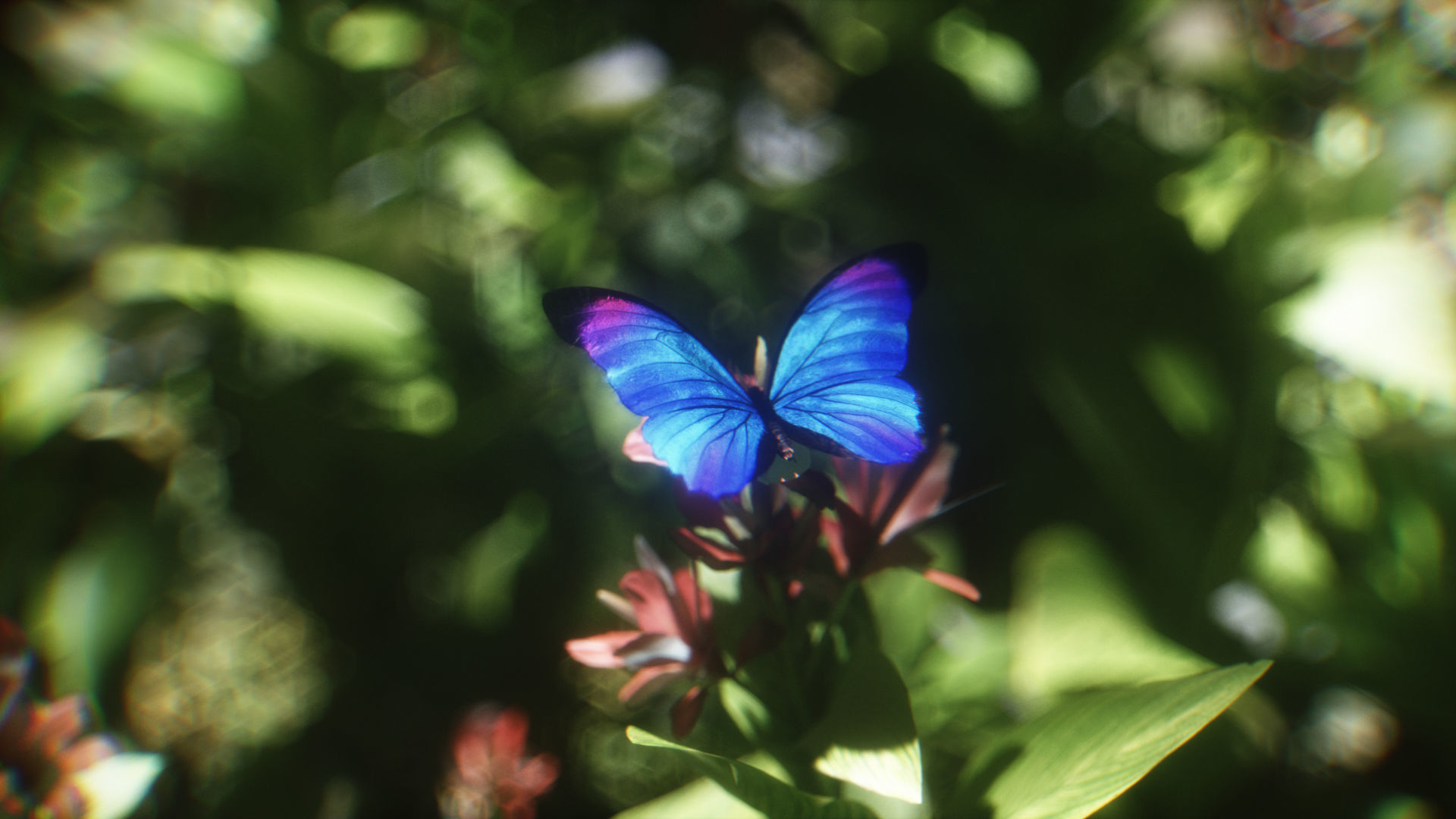 Blue Morpho Butterfly Low-poly 3D model_18