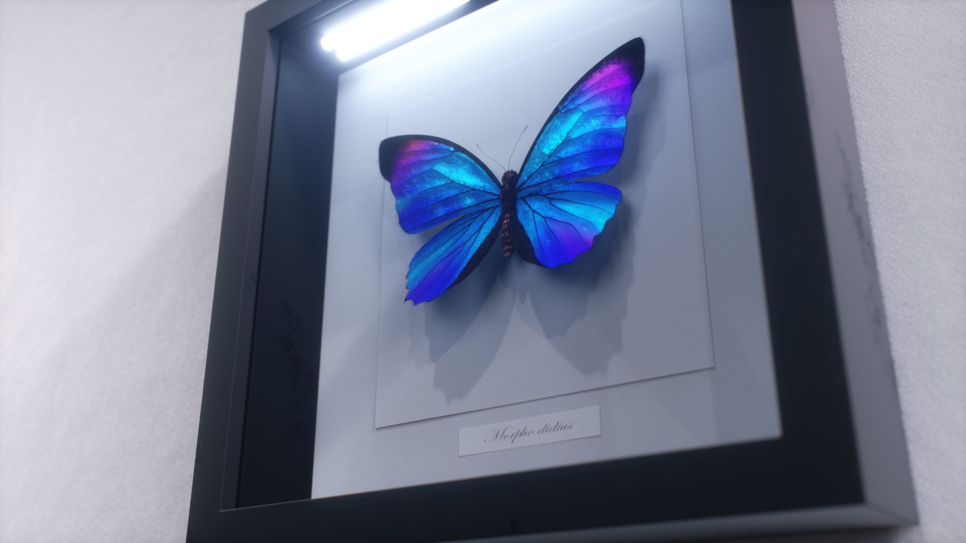 Blue Morpho Butterfly Low-poly 3D model_26