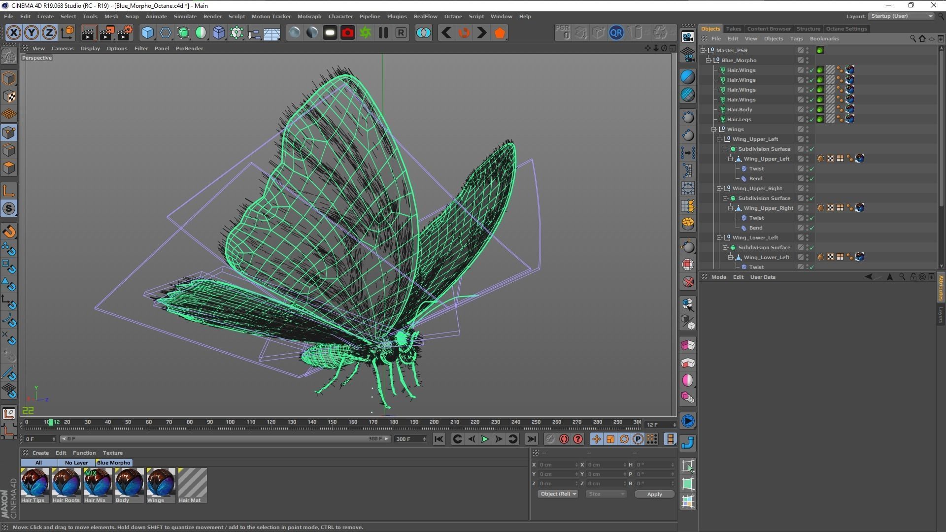Blue Morpho Butterfly Low-poly 3D model_33