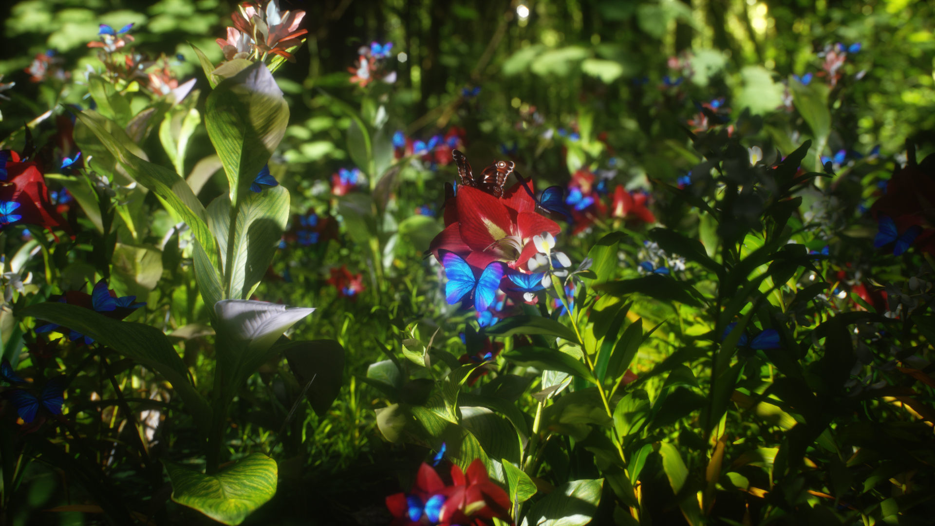 Blue Morpho Butterfly Low-poly 3D model_20