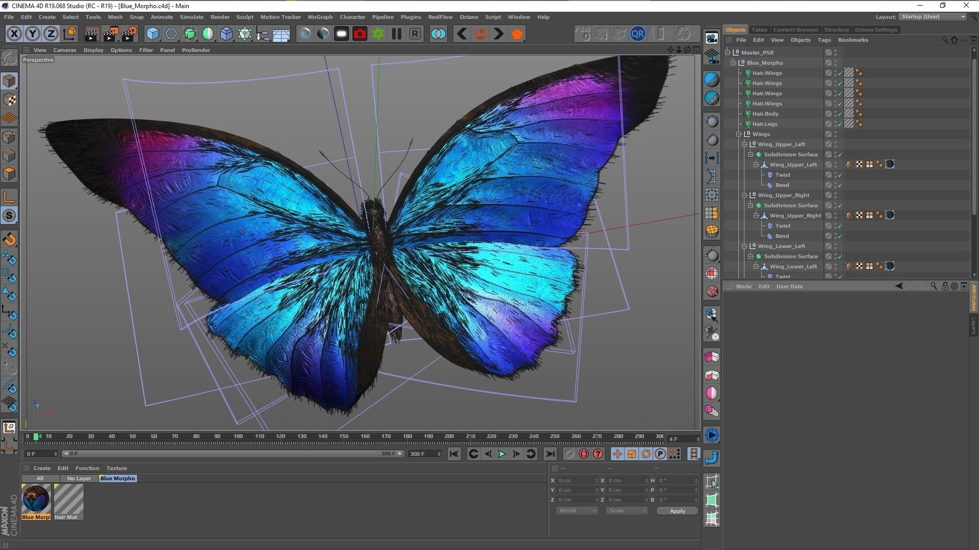 Blue Morpho Butterfly Low-poly 3D model_34