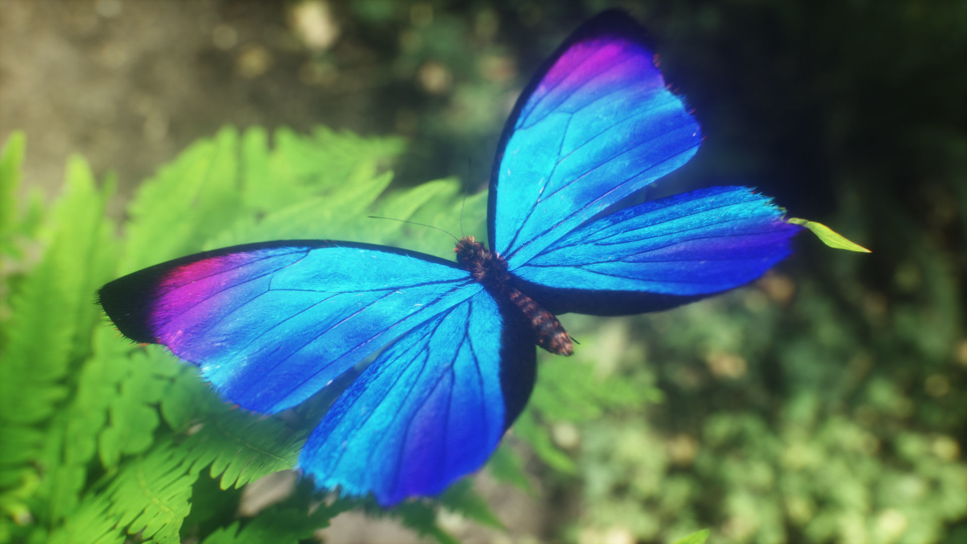 Blue Morpho Butterfly Low-poly 3D model_3