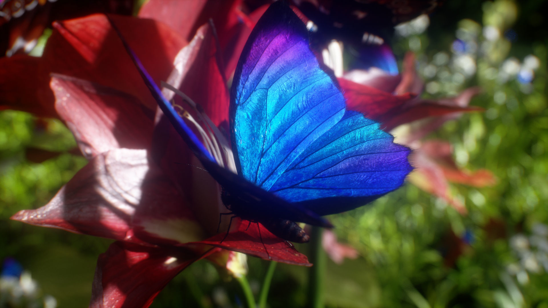 Blue Morpho Butterfly Low-poly 3D model_6