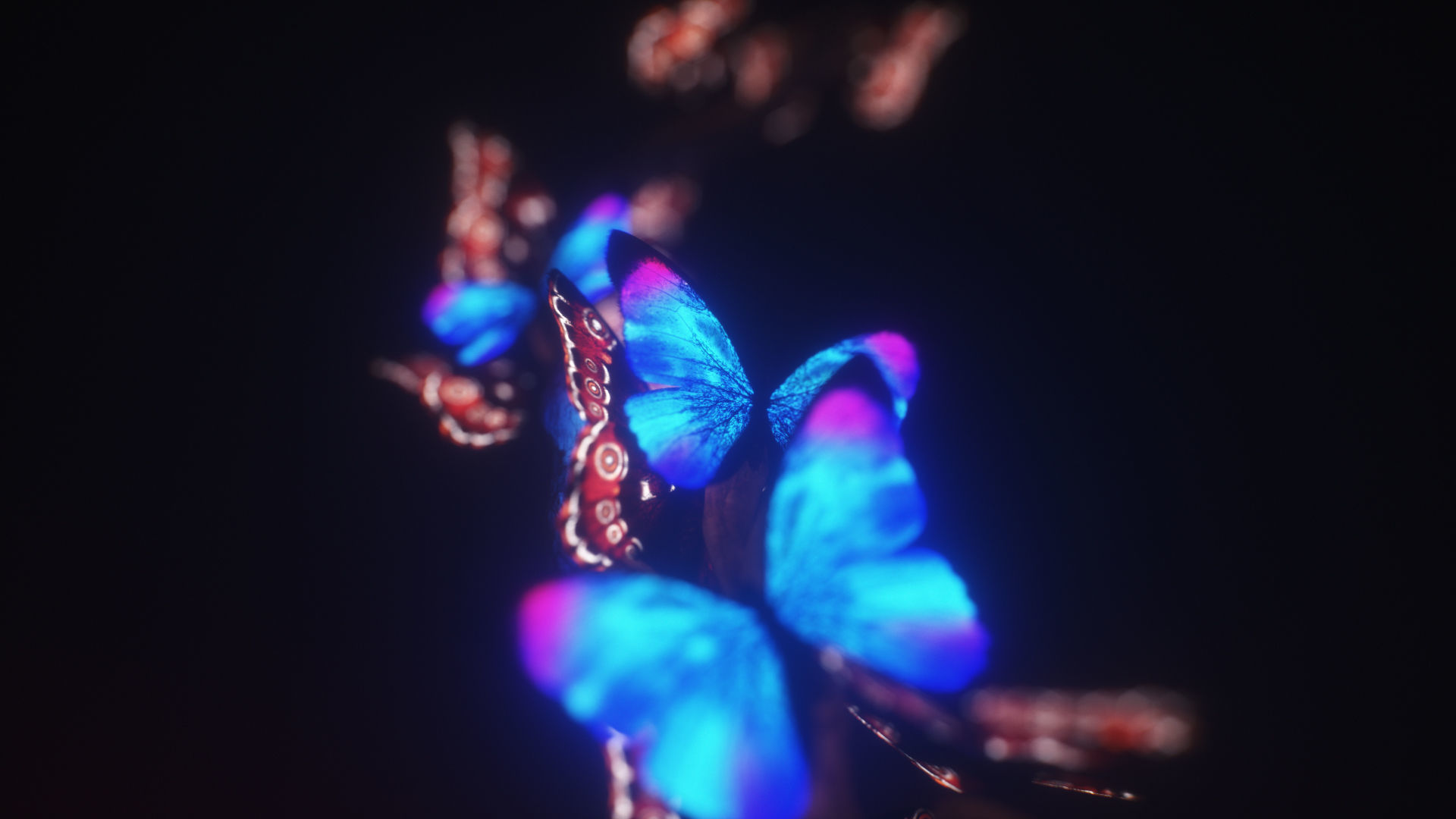 Blue Morpho Butterfly Low-poly 3D model_29