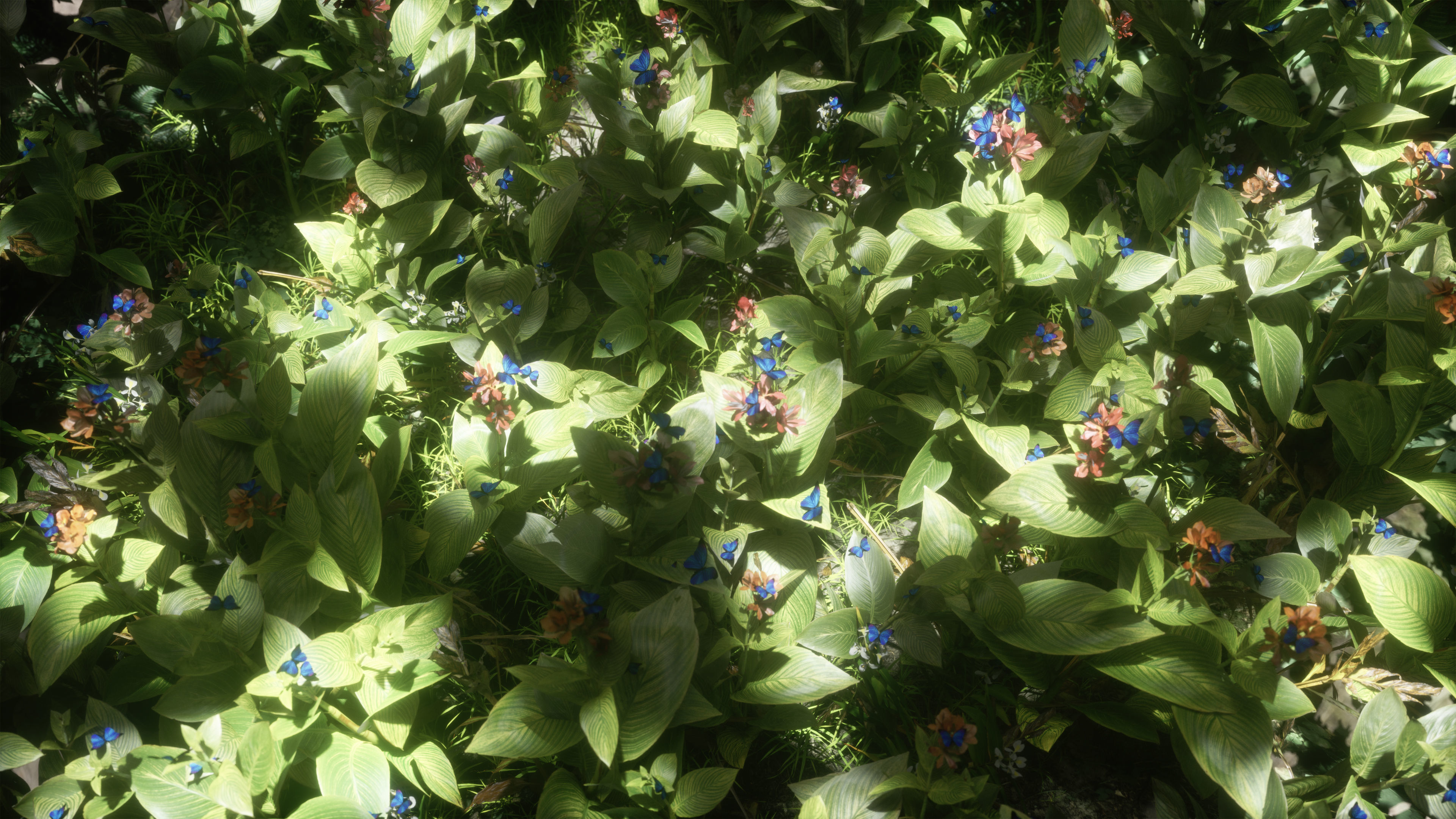 Blue Morpho Butterfly Low-poly 3D model_24