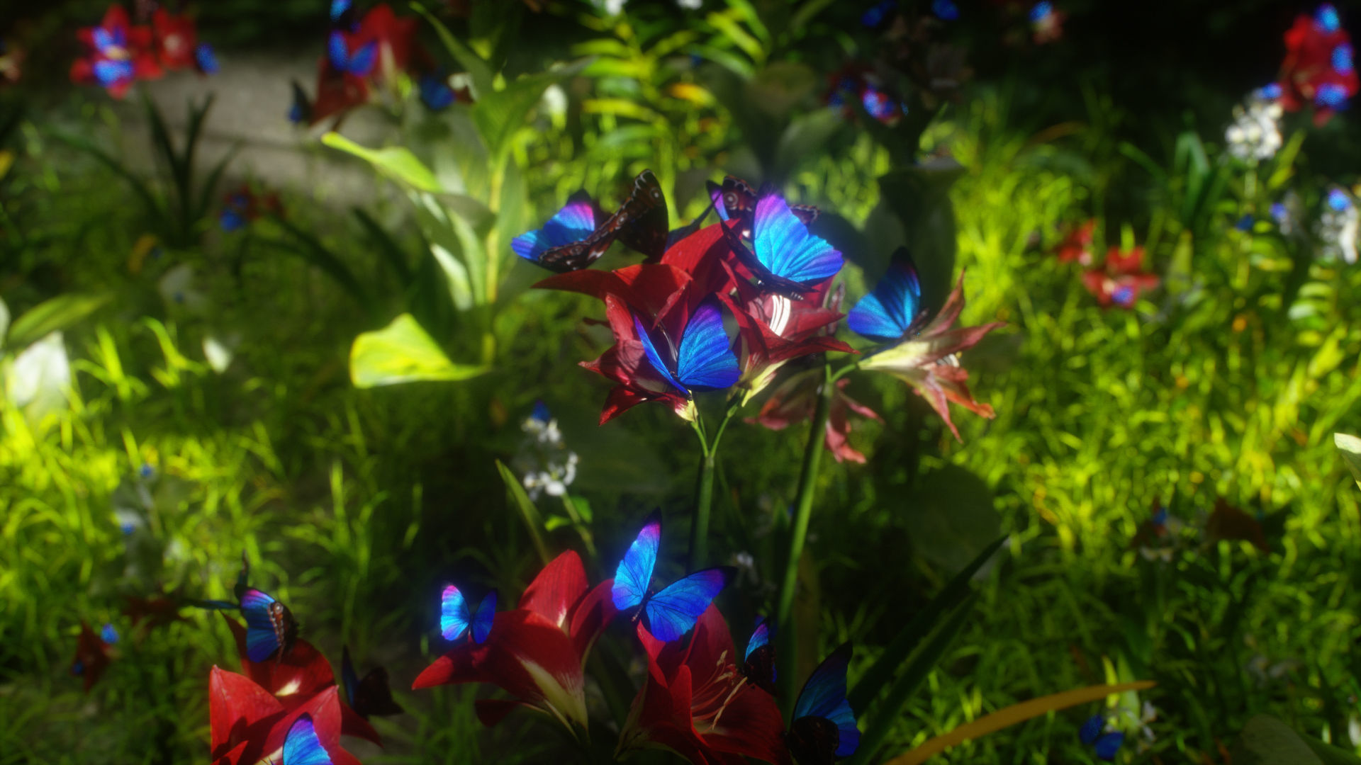Blue Morpho Butterfly Low-poly 3D model_22