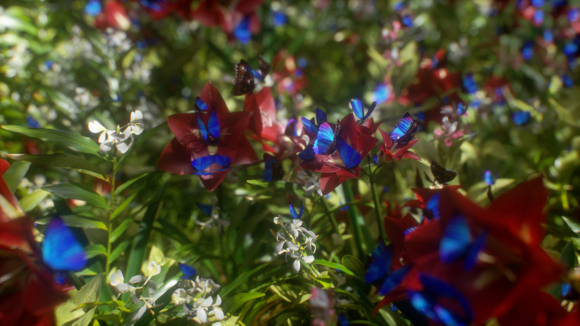 Blue Morpho Butterfly Low-poly 3D model_21