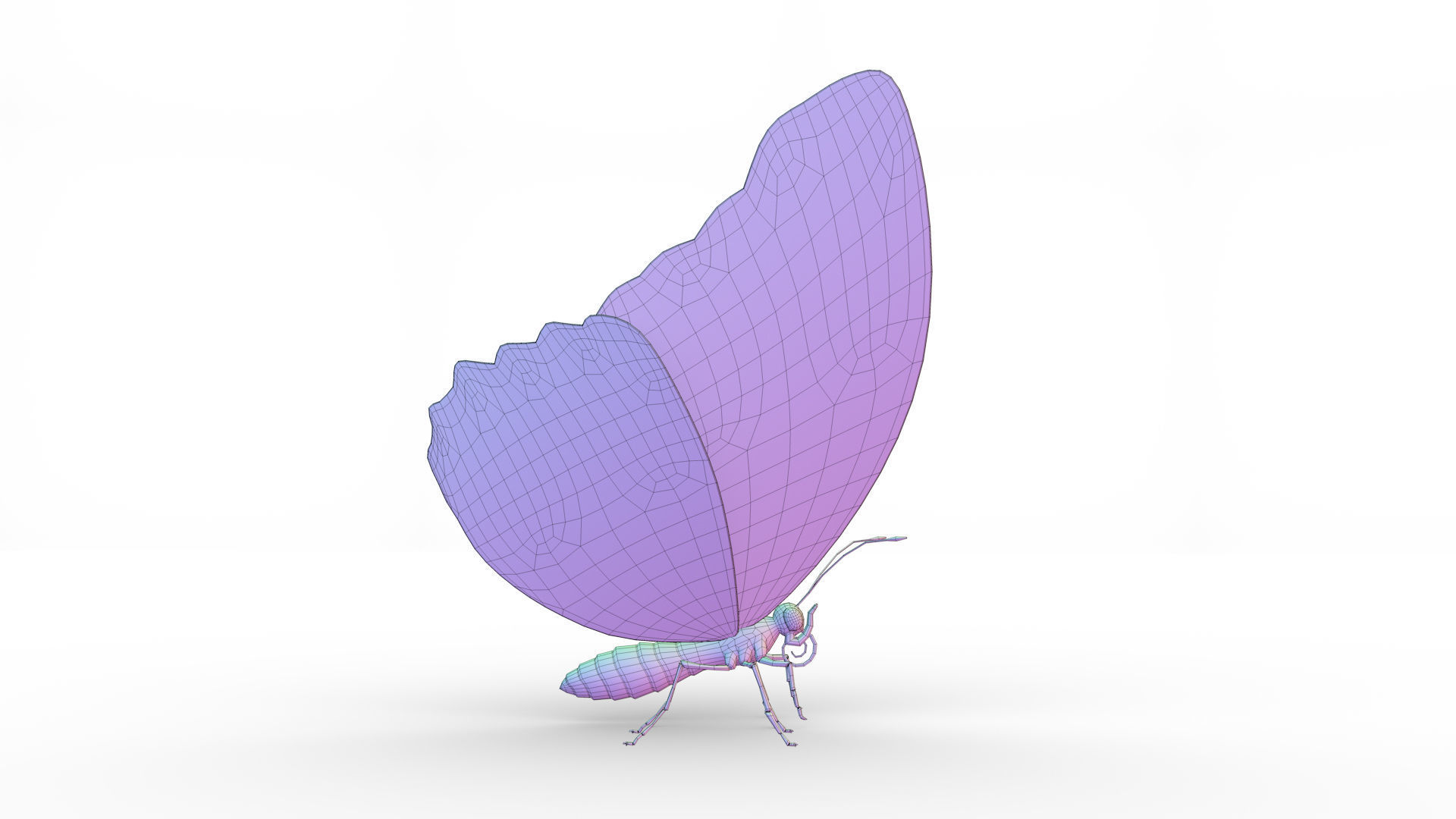 Blue Morpho Butterfly Low-poly 3D model_13