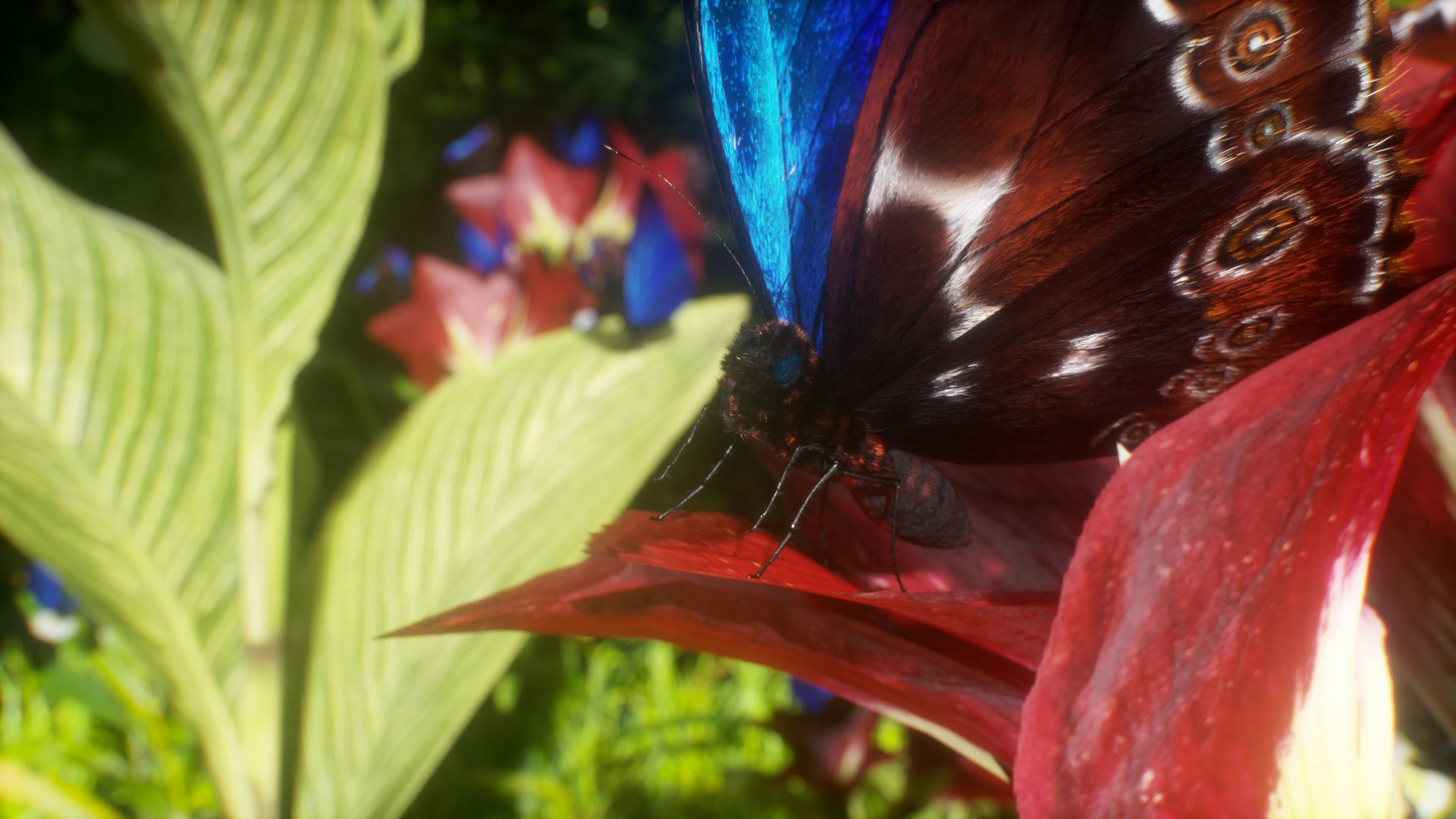 Blue Morpho Butterfly Low-poly 3D model_7