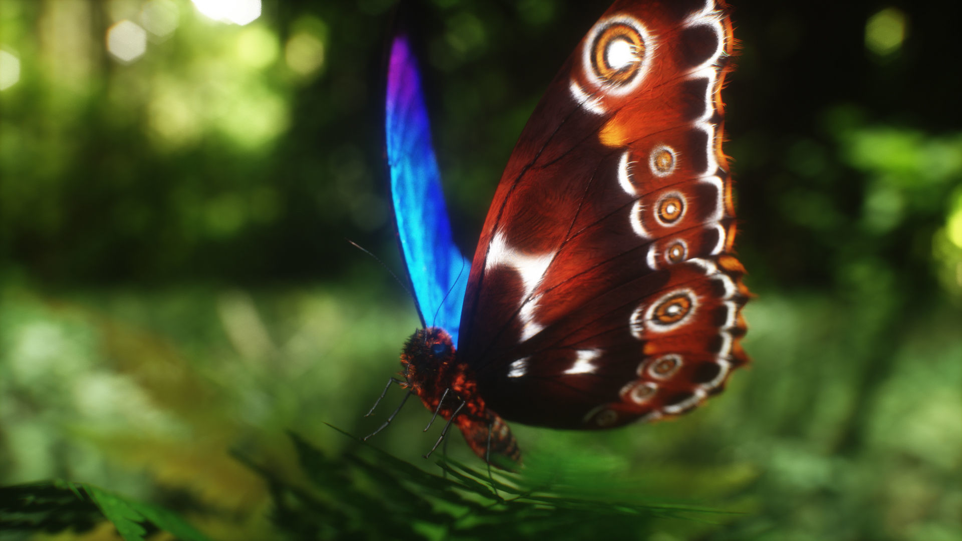 Blue Morpho Butterfly Low-poly 3D model_5