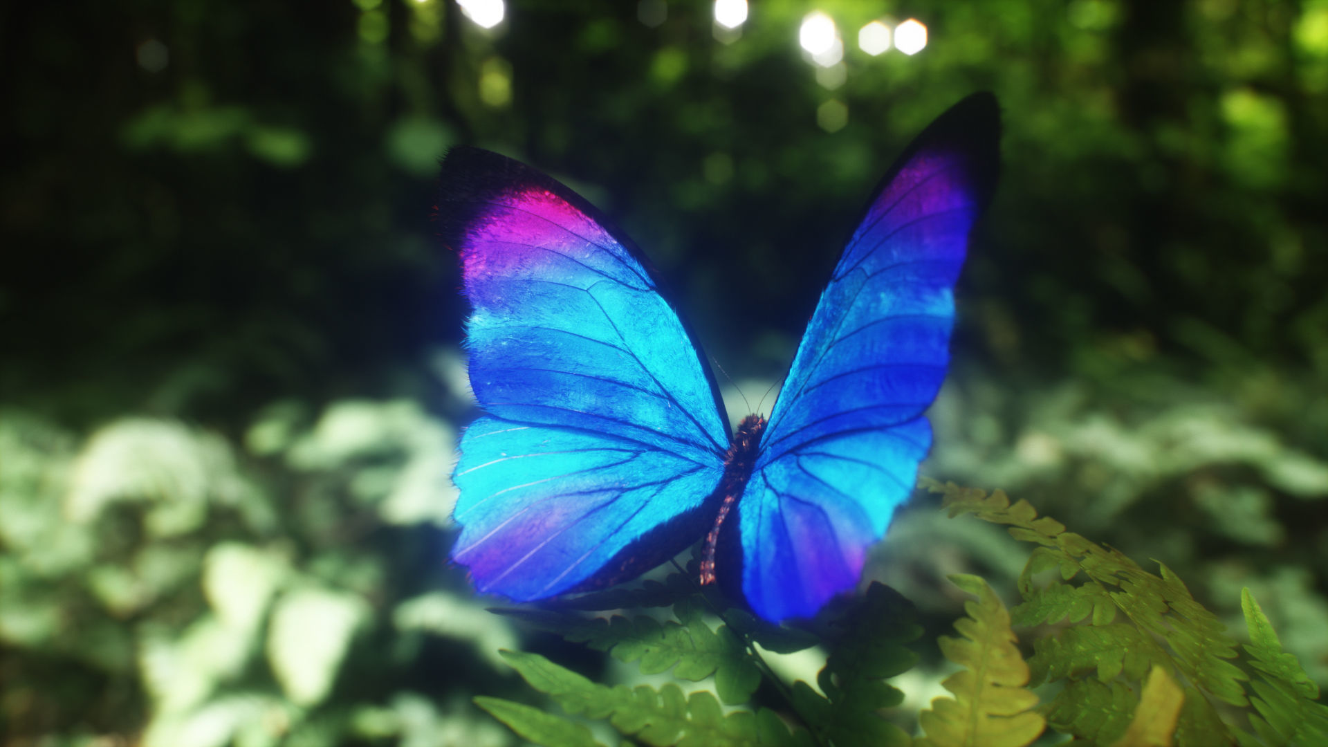 Blue Morpho Butterfly Low-poly 3D model_4