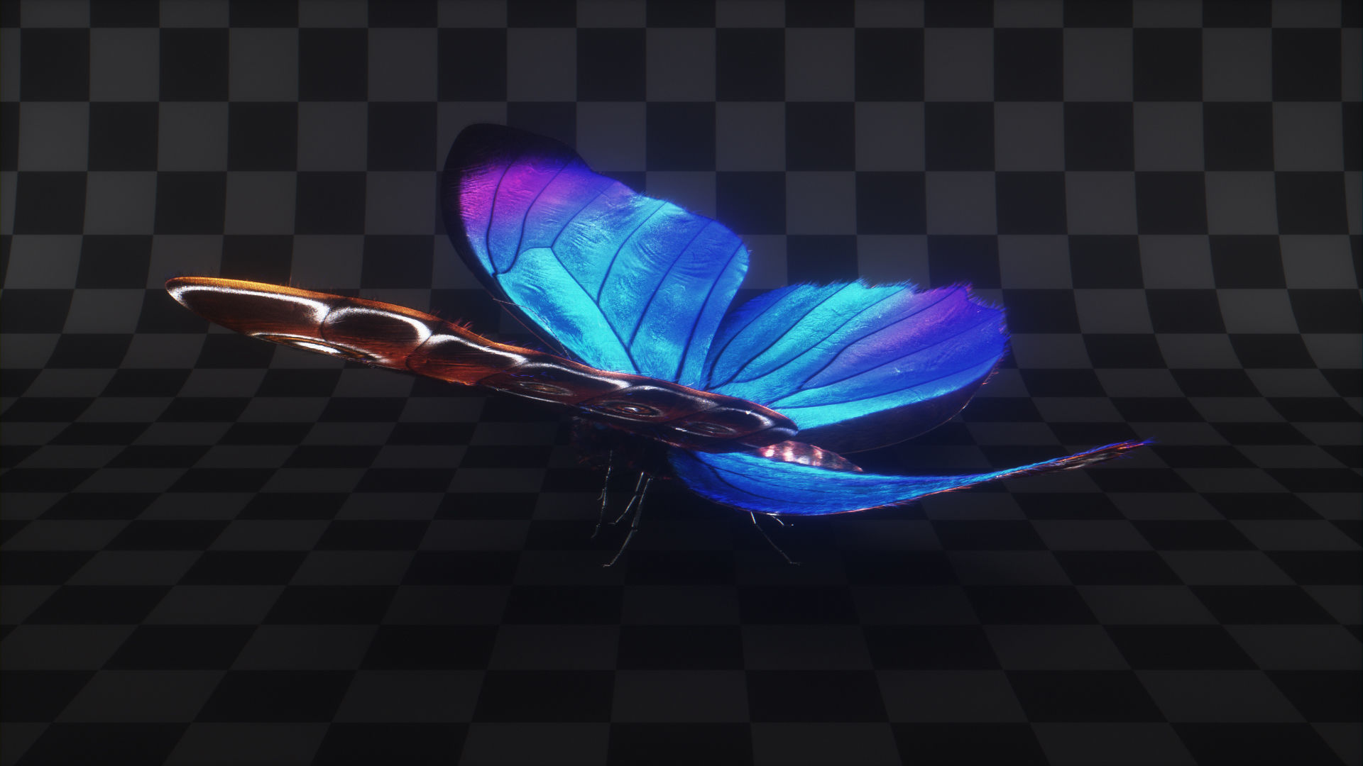 Blue Morpho Butterfly Low-poly 3D model_8