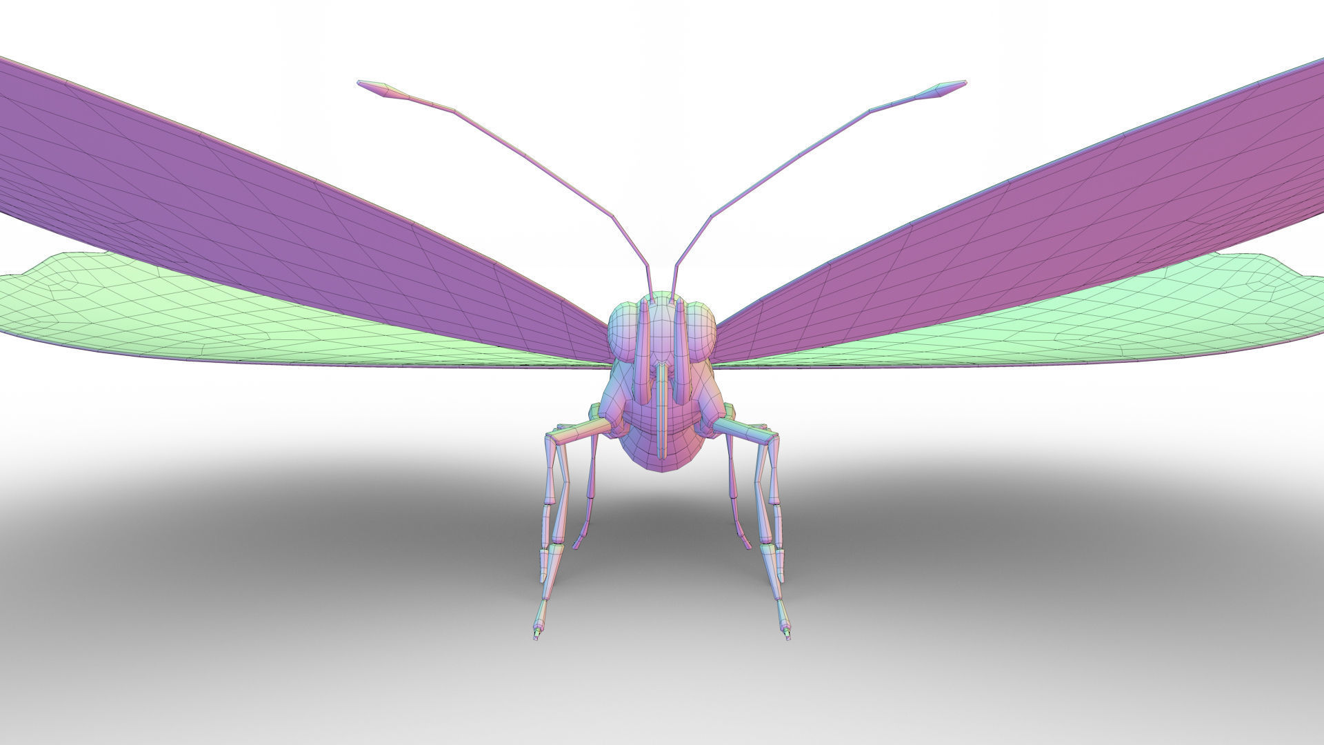 Blue Morpho Butterfly Low-poly 3D model_15