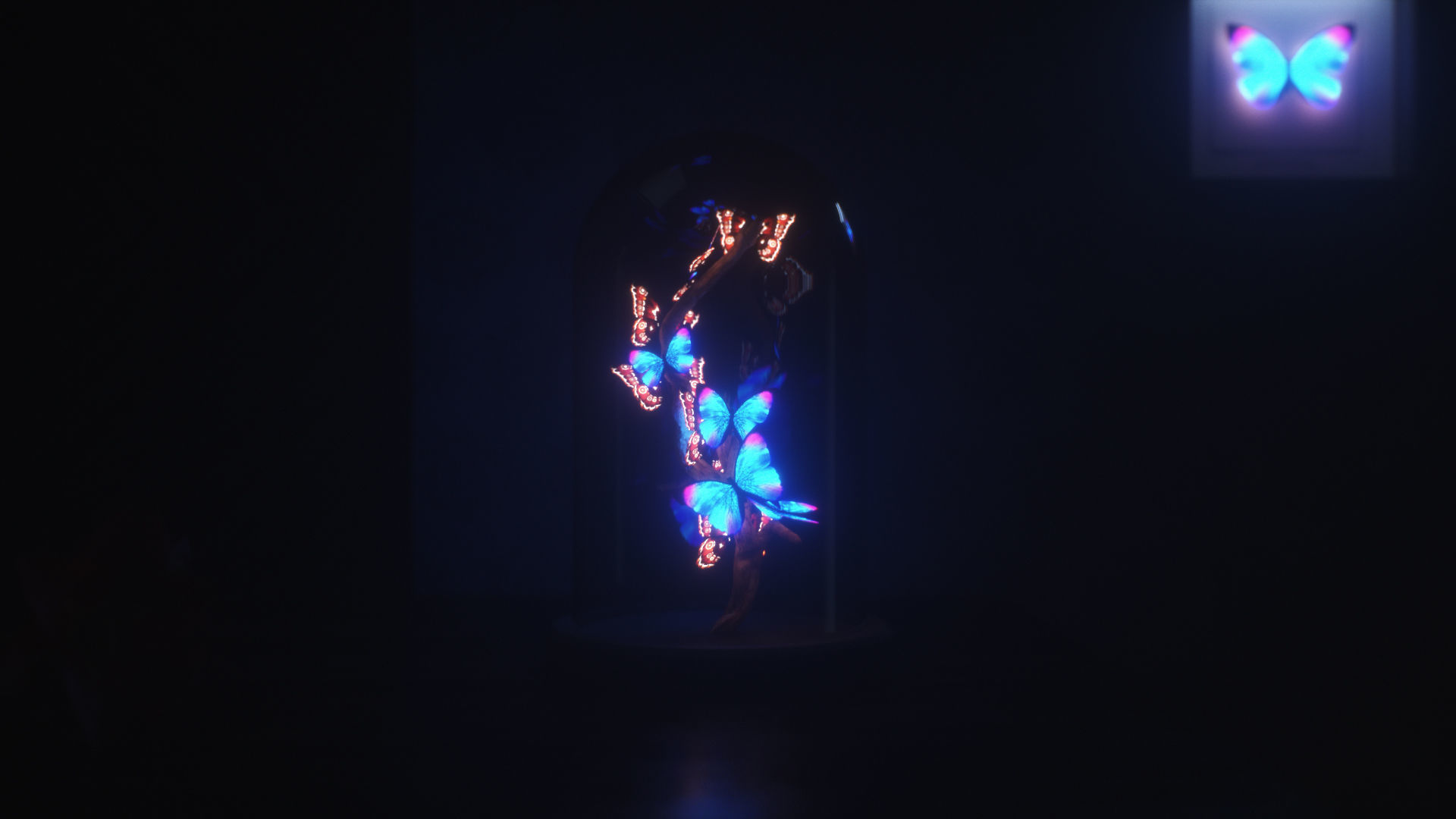 Blue Morpho Butterfly Low-poly 3D model_30