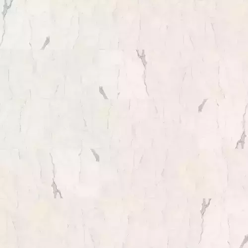 Panaria Ceramica ZERO 3 Eternity STATUARIO WHITE  120x120