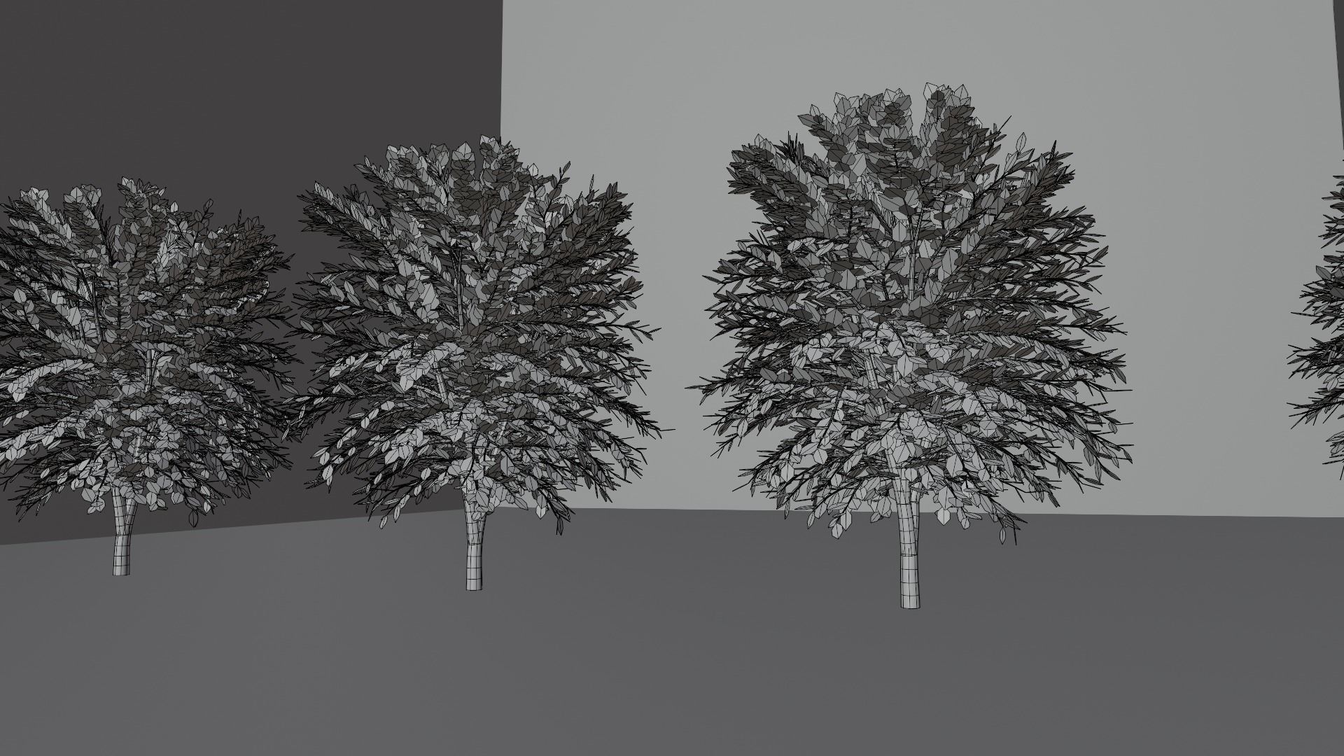 Trees four 3D model_4