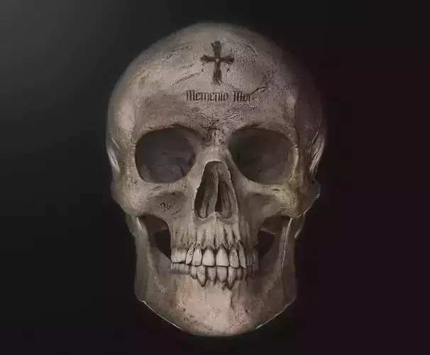 3D Skull Free low-poly 3D model
