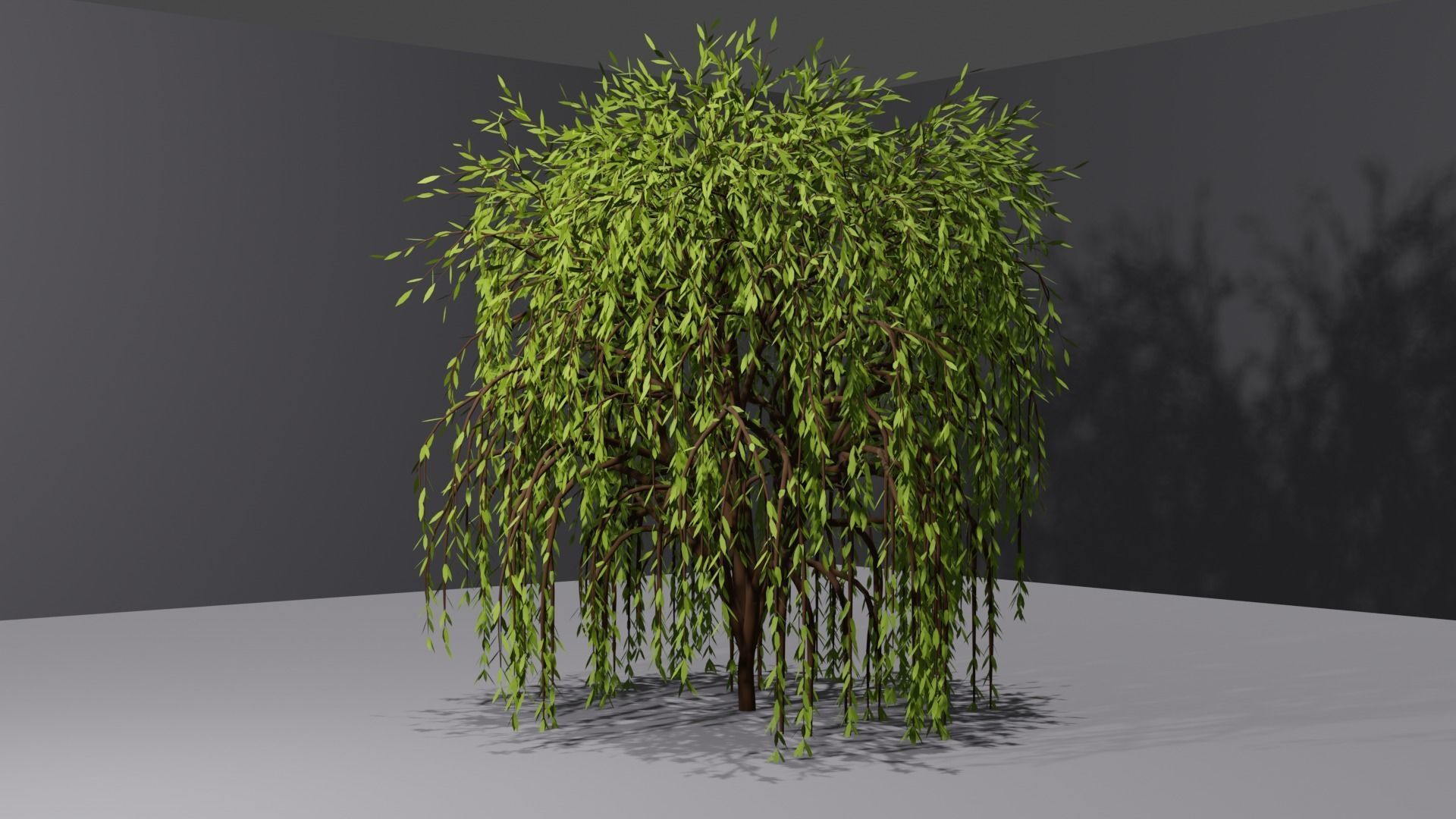 Willow Tree 3D model_3