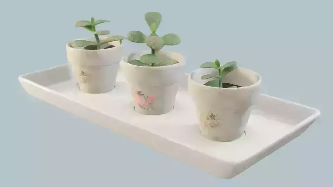 Plant Pot Set