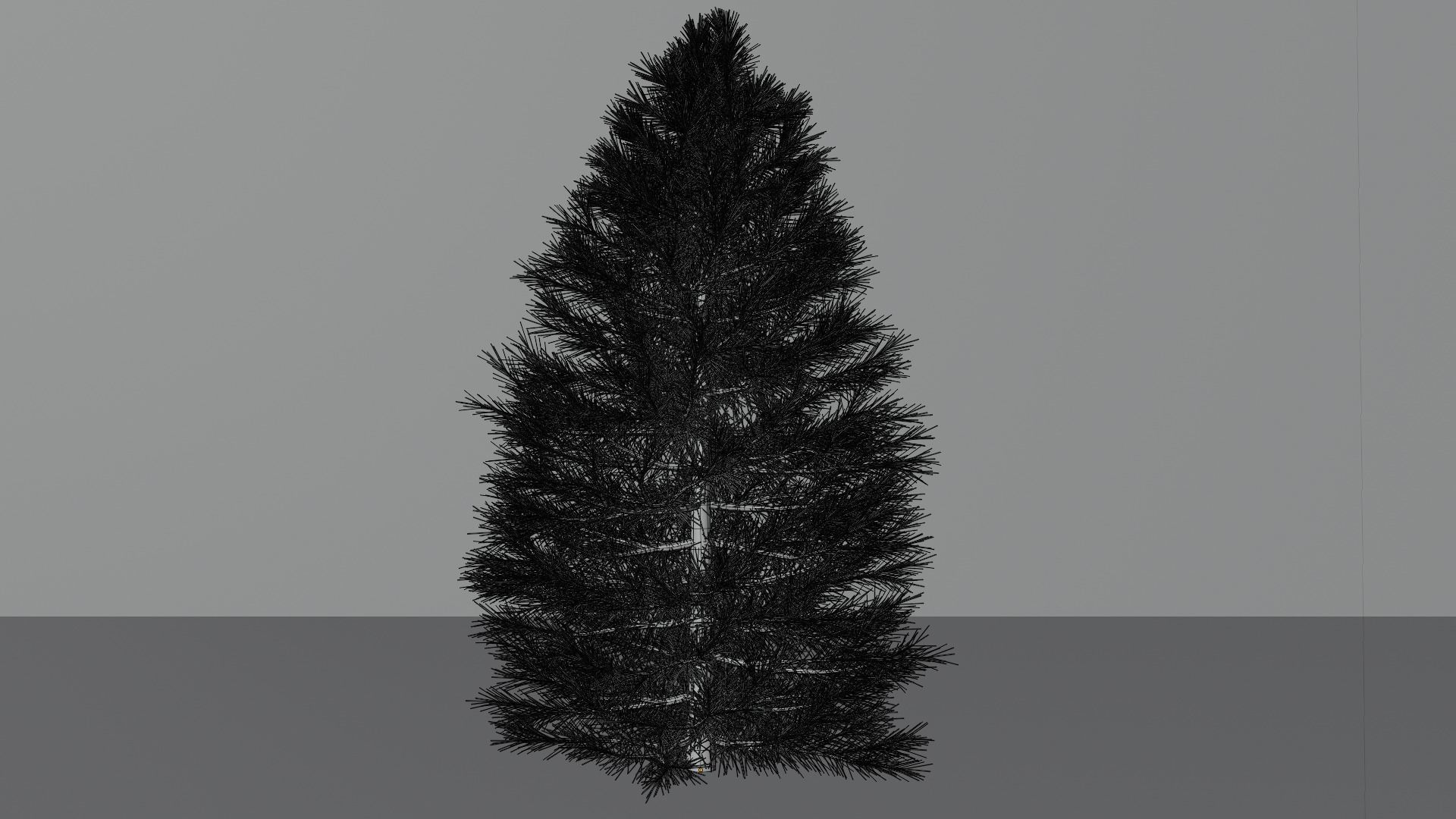Pine Tree 1 3D model_4