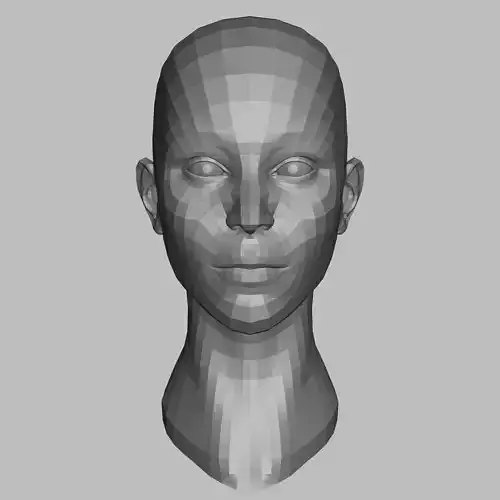 Female Head 01 BaseMesh
