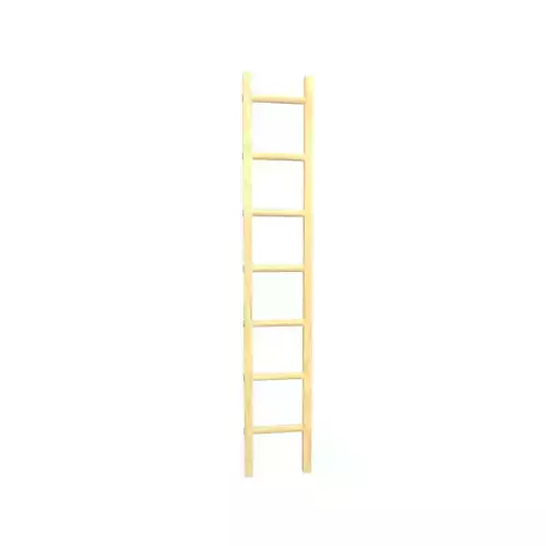Single Straight Wood Ladder v1 001