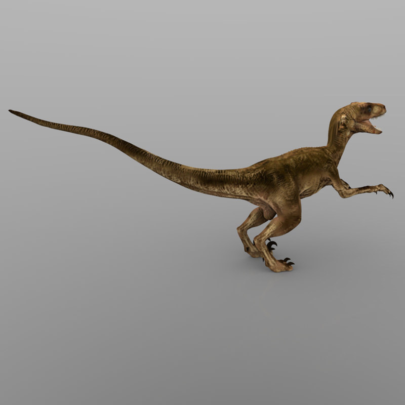 Deynonichus dinosaur 3D model_6