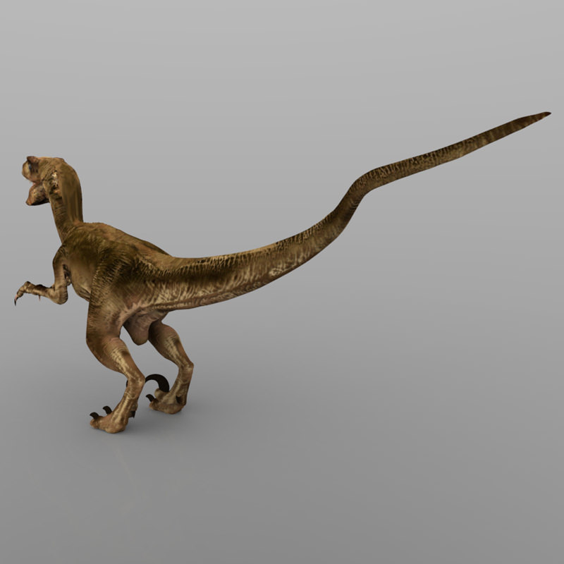 Deynonichus dinosaur 3D model_8
