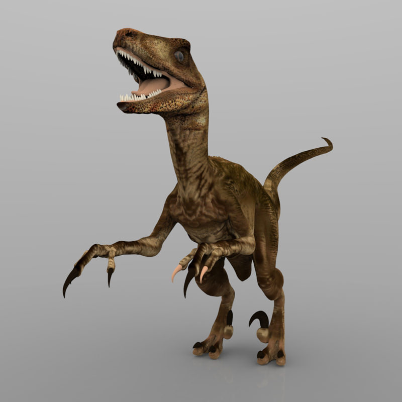 Deynonichus dinosaur 3D model_4