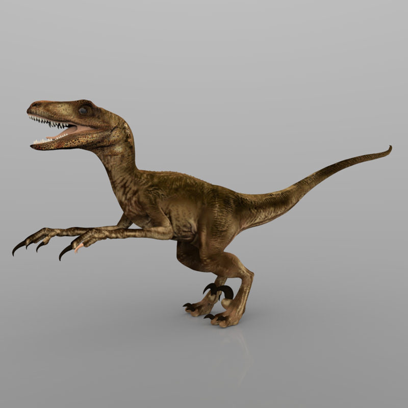 Deynonichus dinosaur 3D model_5