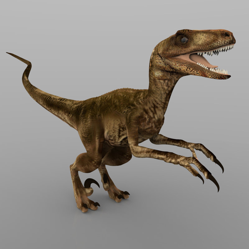 Deynonichus dinosaur 3D model_3