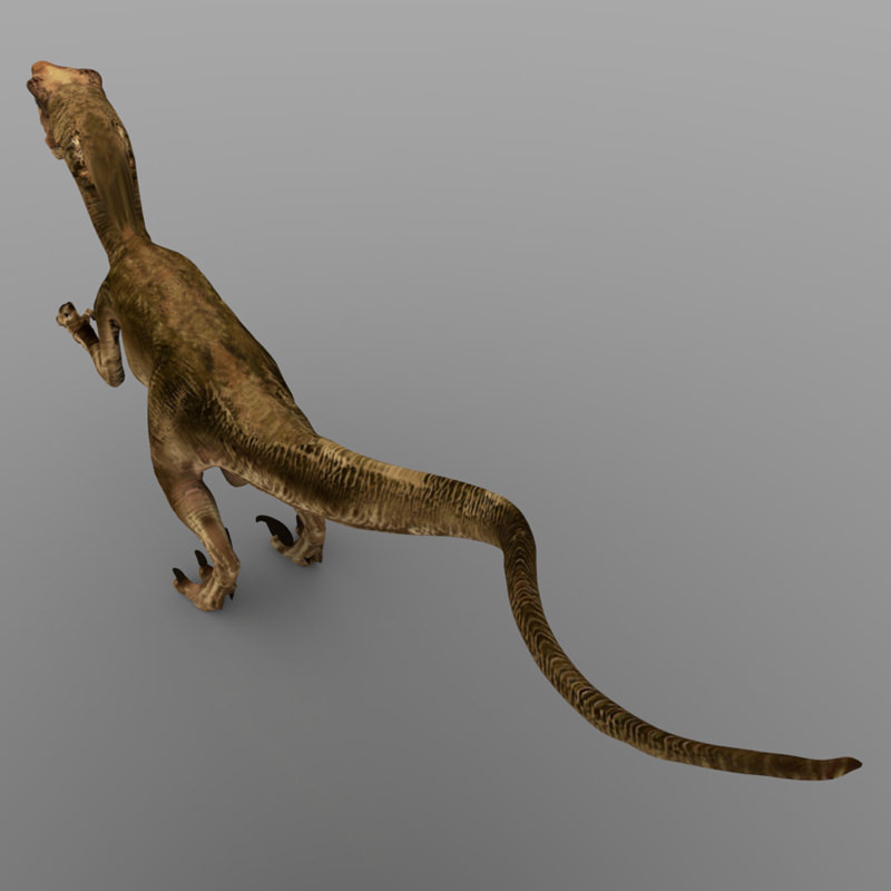 Deynonichus dinosaur 3D model_7