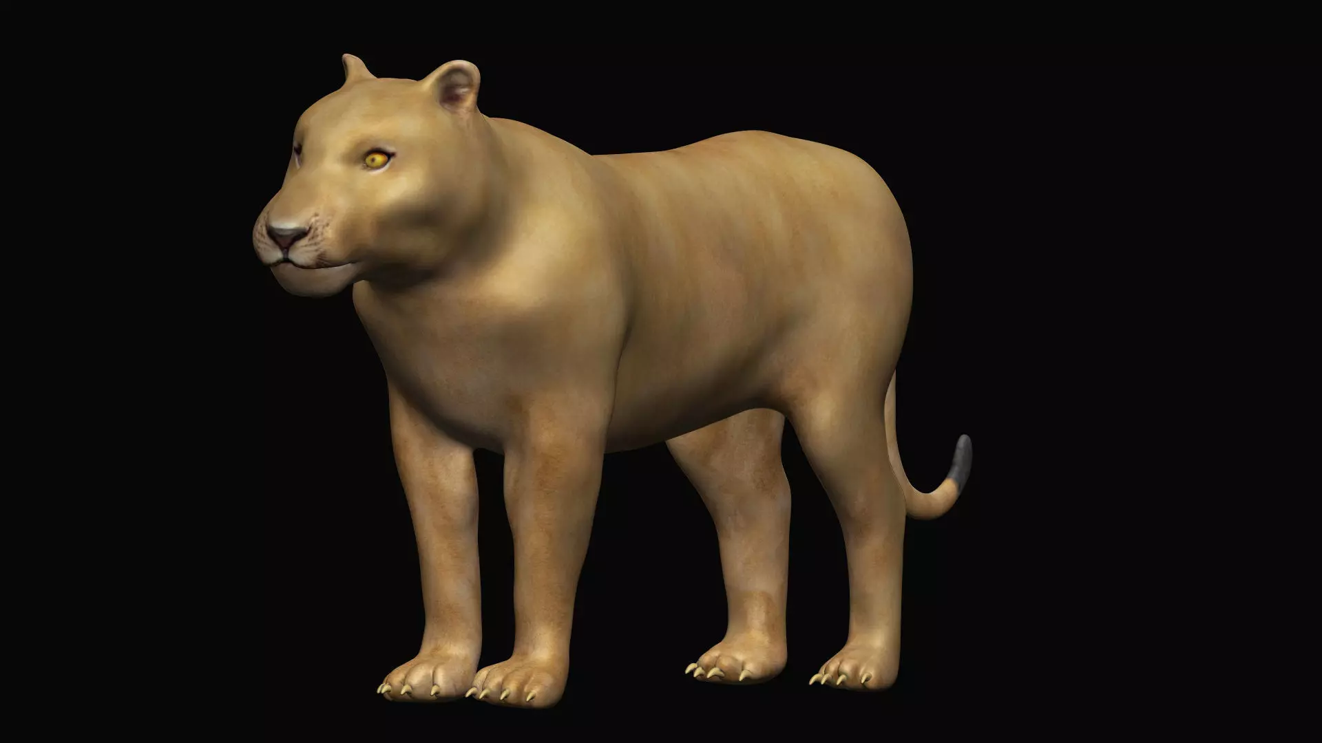 Lioness lion 3D model