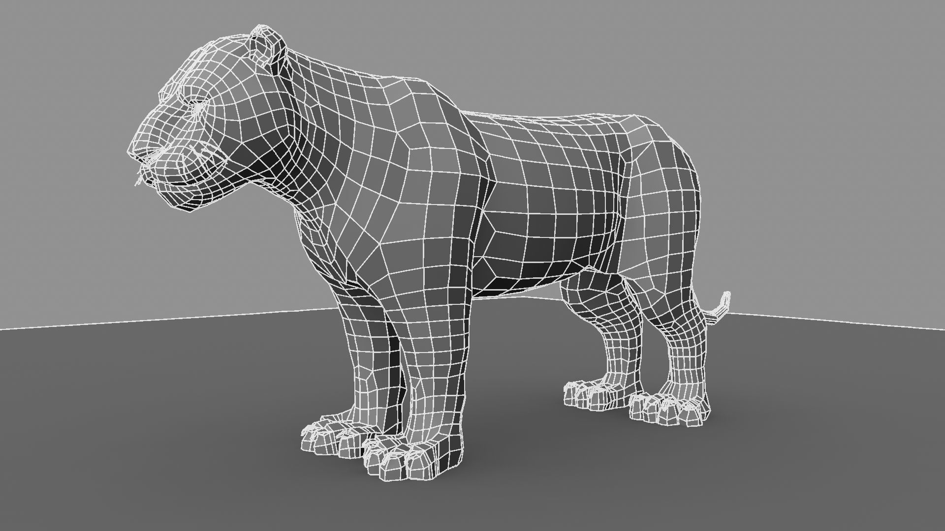 3D White Tiger 3D model_15