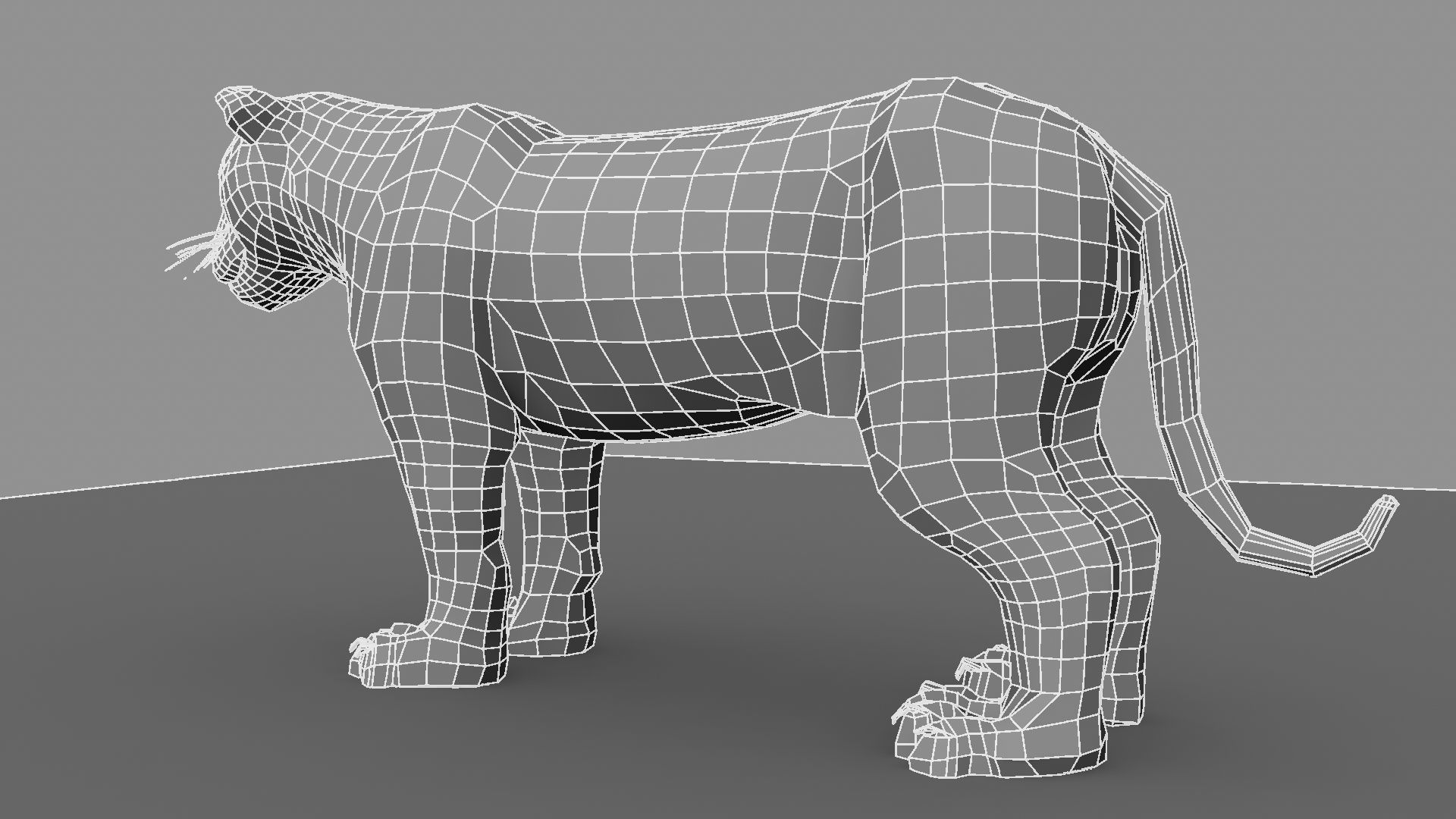 3D White Tiger 3D model_21