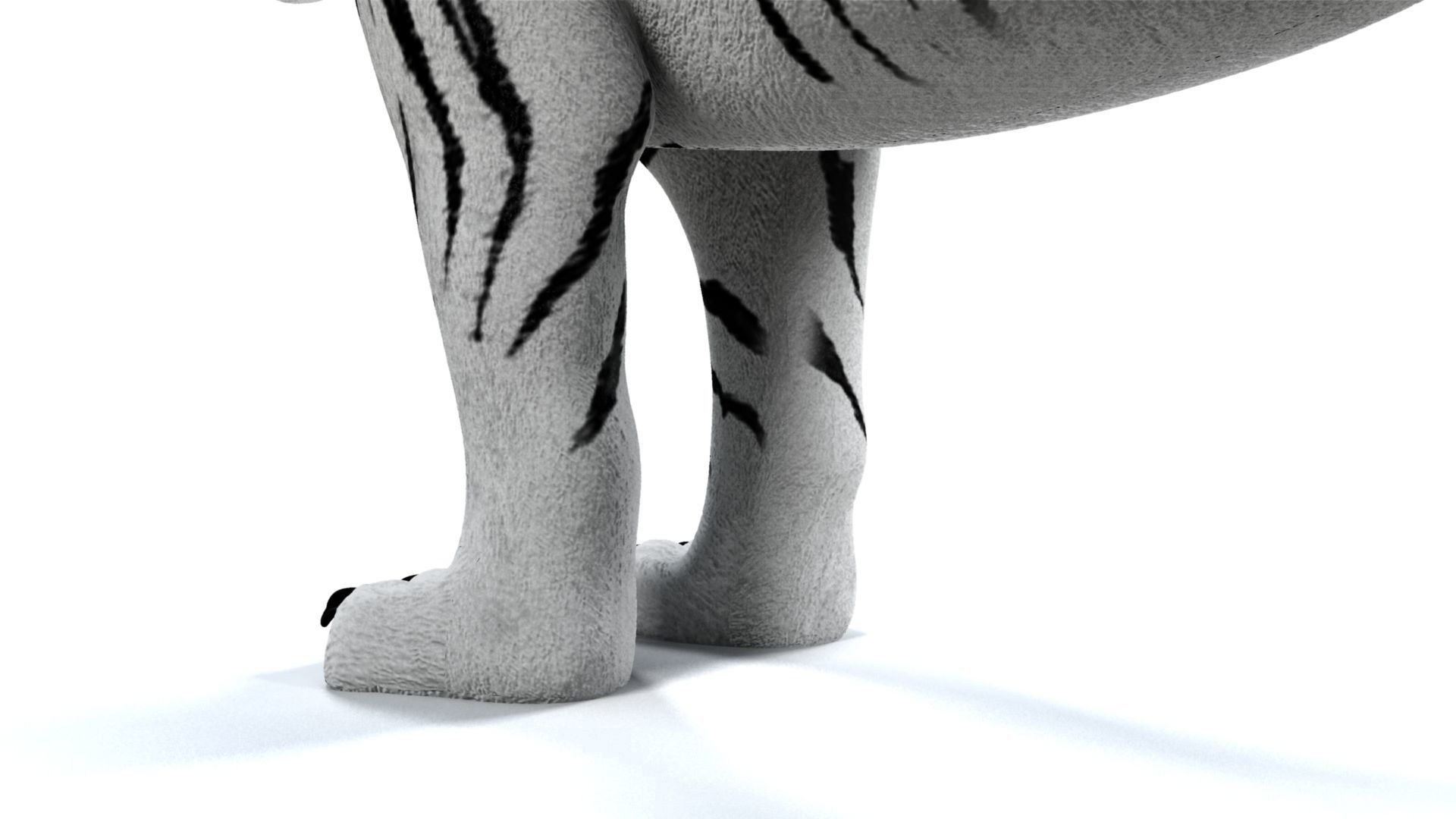 3D White Tiger 3D model_6