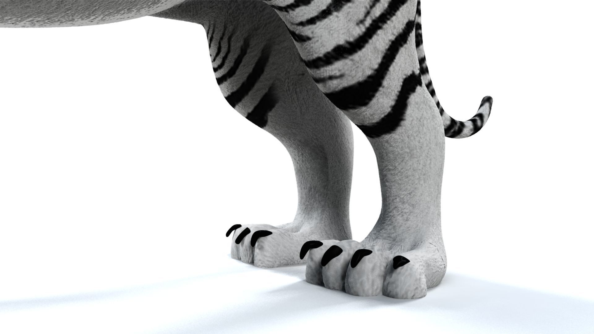 3D White Tiger 3D model_8
