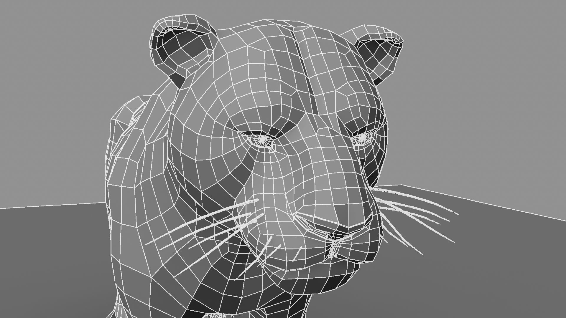 3D White Tiger 3D model_30