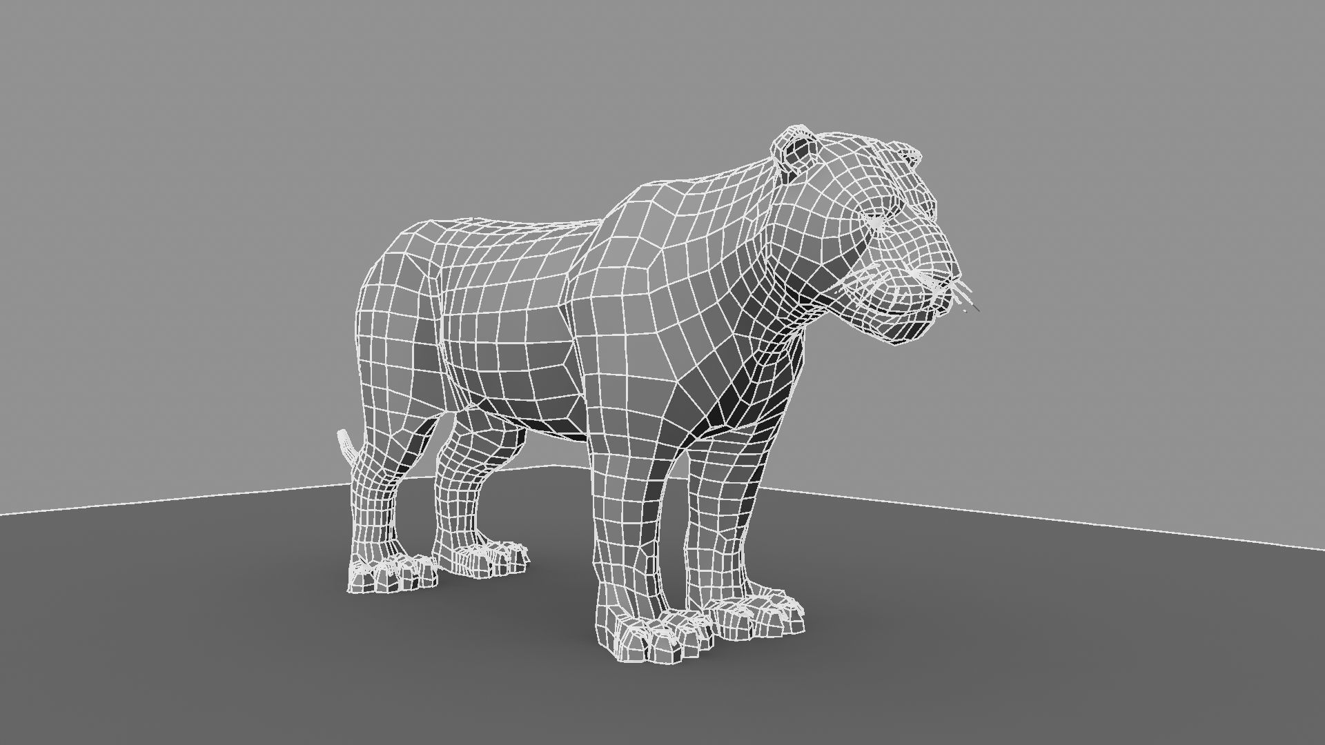 3D White Tiger 3D model_29