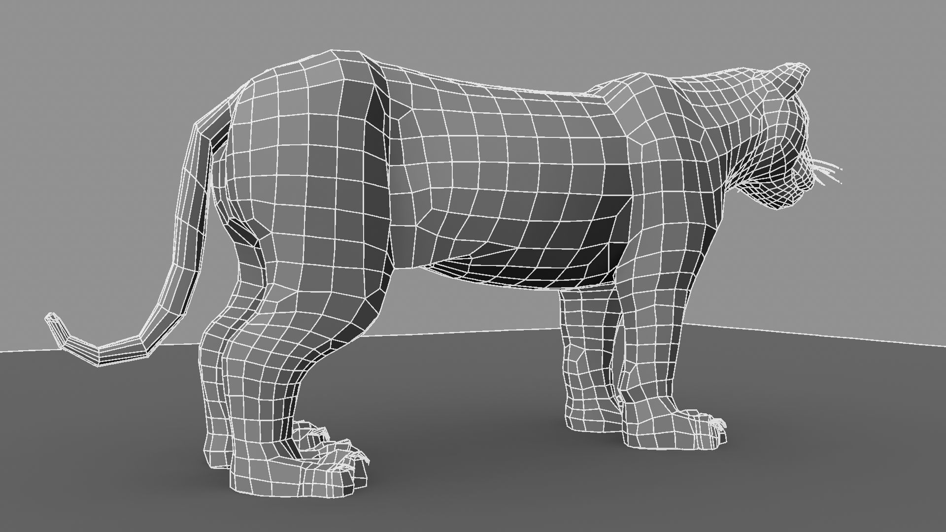 3D White Tiger 3D model_31
