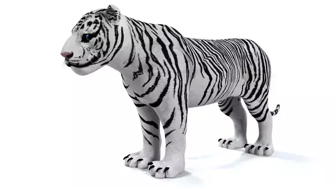 3D White Tiger