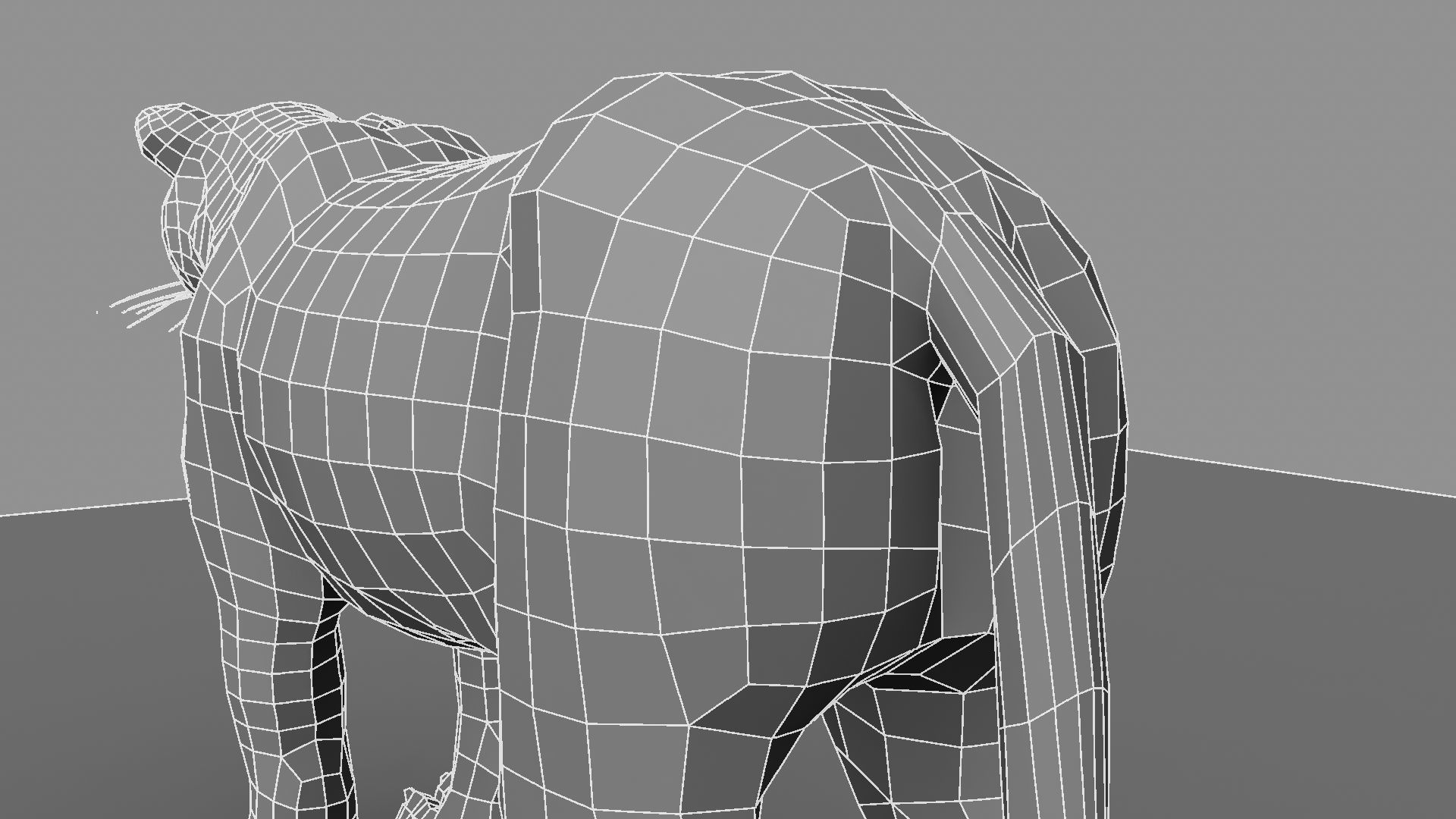 3D White Tiger 3D model_23