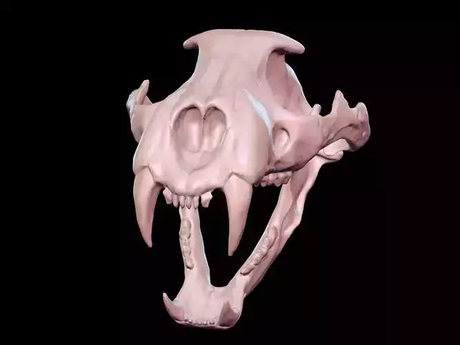 Lion Skull 3D print model