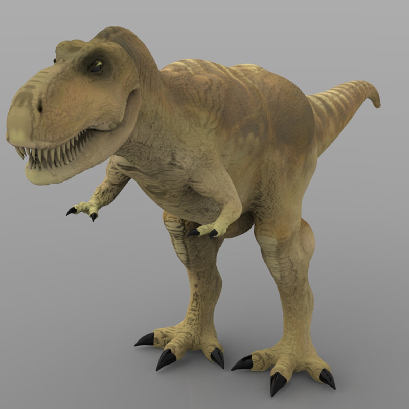 Tyranosaurus Rex 3D model_4
